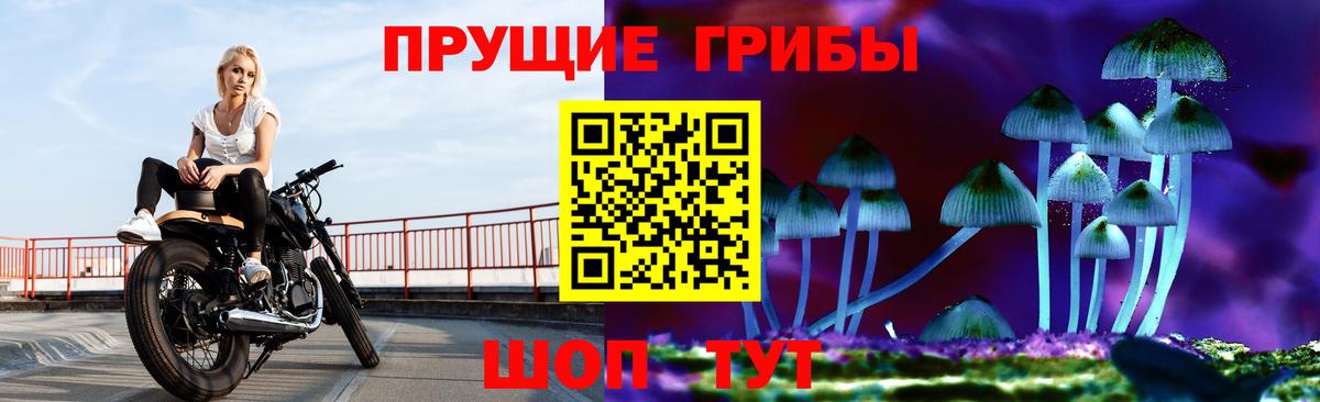 Псилоцибиновые грибы прущие грибы Семёнов